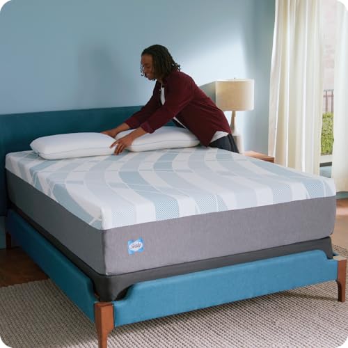 Sealy Dreamlife 14” Foam Mattress-in-a-Box, King, SealyComfort Gel Memory Foam, SealySupport Transition Foam, Machine Washable Cover