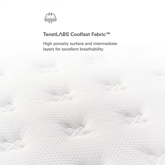 Plush Dream Queen Mattress 12 Inch Hybrid Pocketed Springs - Mattress in a Box with Memory Foam, Soft Plush Feel, Motion Isolation, Multi-Zone Spinal Support