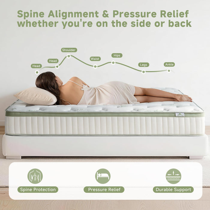 Queen Size Mattress 14 Inch, Medium Firm Memory Foam Hybrid Mattress with Individual Pocket Spring - Pressure Relief, Motion Isolation, Cool Sleep, 60" x 80"