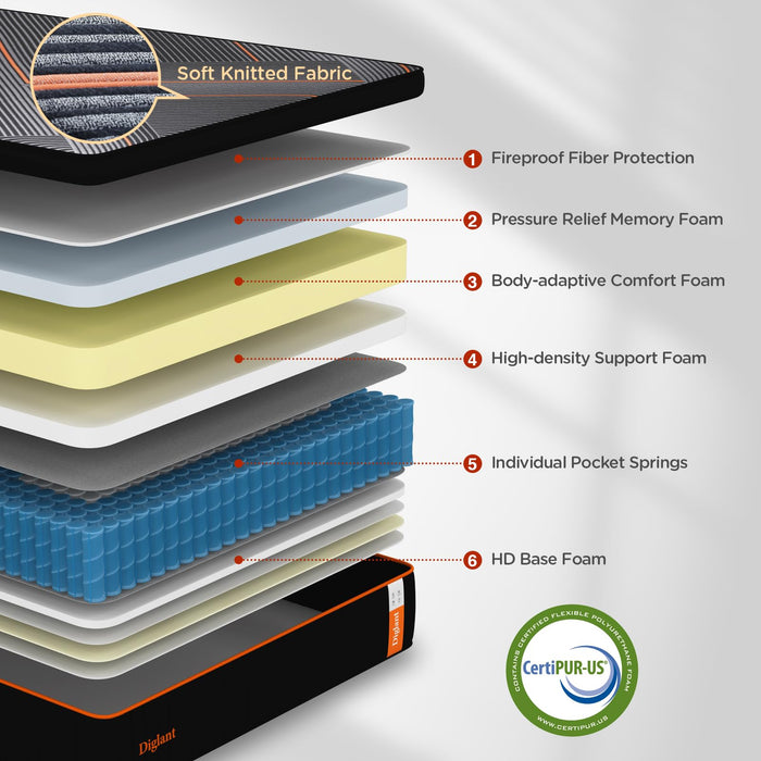 DIGLANT Queen Mattress,14 Inch Plush Hybrid Mattress,Soft Memory Foam with Individually Pocket Springs Mattress Queen Size in Box, Euro Top Mattress for Pressure Relief,Balanced Support, 60"*80"