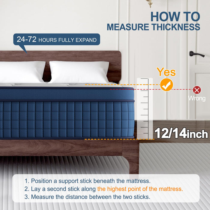 Duchessz Queen Mattress, 12 Inch Hybrid Mattresses with Gel Memory Foam and Individually Pocket Innerspring Euro Top Medium Firm for Motion Isolation, Edge Support, 100 Night Trial