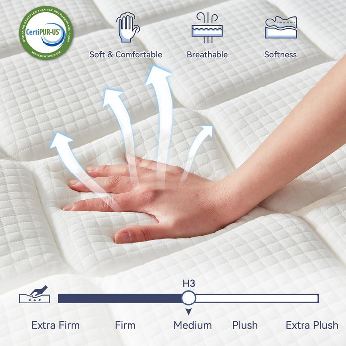 Bedtter 12 Inch Queen Mattress,Memory Foam Hybrid Mattress in a Box,Individually Pocketed Springs for Isolate Motion, Pressure Relief, CertiPUR-US Certified, Fiberglass Free & Support Comfort