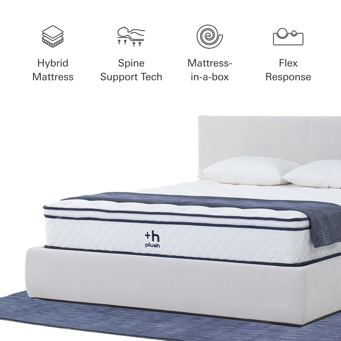 Plush Dream Full Mattress 12 Inch Hybrid Pocketed Springs - Mattress in a Box with Memory Foam, Soft Plush Feel, Motion Isolation, Multi-Zone Spinal Support