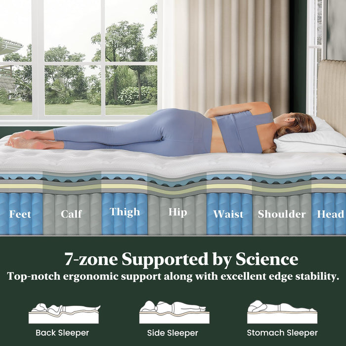 FP FLEXPEDIC Queen Mattress, 14 Inch Luxury Hybrid Mattresses, Fiberglass-Free Memory Foam Mattress in a Box, Individual Pocket Spring-Motion Isolation-Extra Edge Support,365 Nights Trial,CertiPUR-US