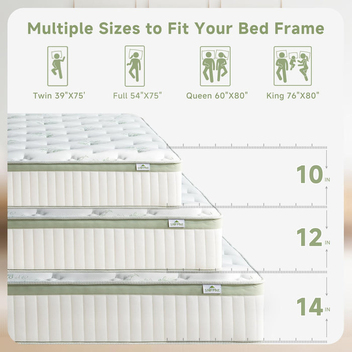 Queen Size Mattress 14 Inch, Medium Firm Memory Foam Hybrid Mattress with Individual Pocket Spring - Pressure Relief, Motion Isolation, Cool Sleep, 60" x 80"
