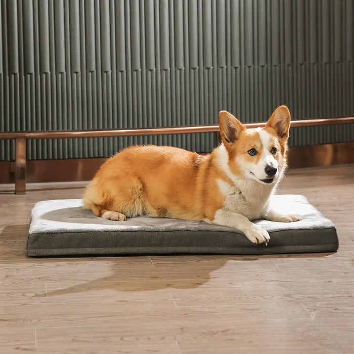 Amazon Basics Washable Dog Bed with Cooling Gel Memory Foam, Pressure-Relief Support for Dogs up to 50lbs, Non-Slip Bottom, Removable Cover, Large (35" x 22"), Grey