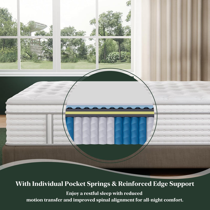 FP FLEXPEDIC Queen Mattress, 14 Inch Luxury Hybrid Mattresses, Fiberglass-Free Memory Foam Mattress in a Box, Individual Pocket Spring-Motion Isolation-Extra Edge Support,365 Nights Trial,CertiPUR-US