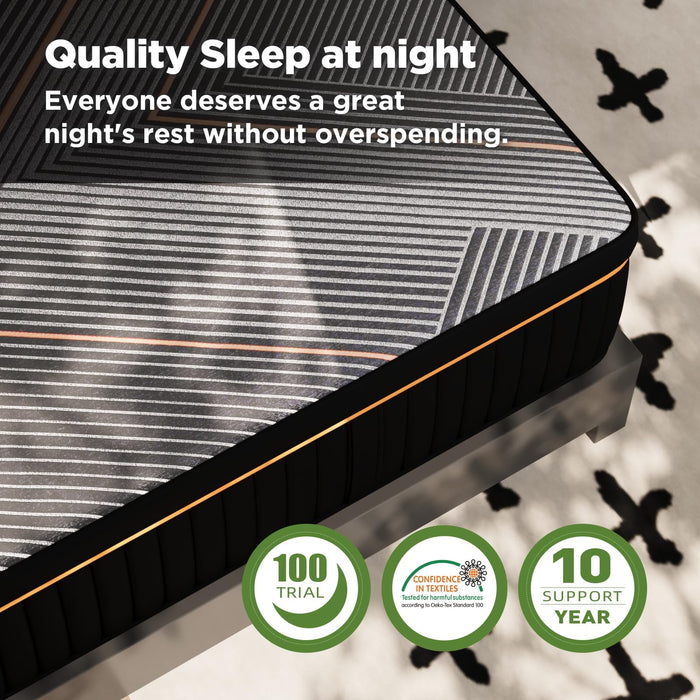 DIGLANT Queen Mattress,14 Inch Plush Hybrid Mattress,Soft Memory Foam with Individually Pocket Springs Mattress Queen Size in Box, Euro Top Mattress for Pressure Relief,Balanced Support, 60"*80"