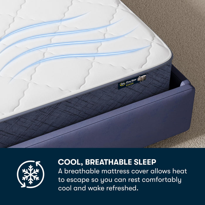 Serta Five Star Mattress Tranquility 8" Medium Queen Bed Mattress