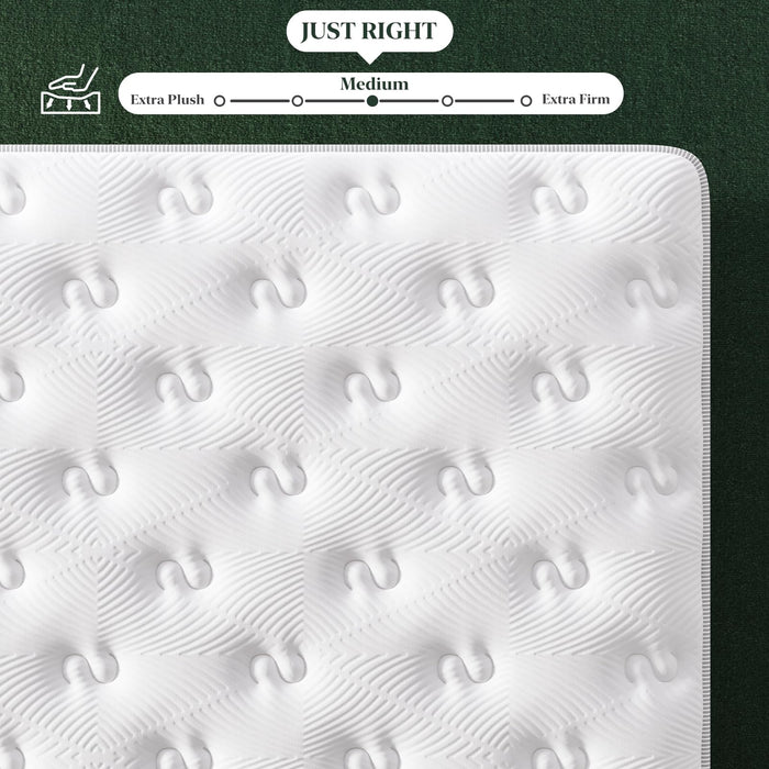 FP FLEXPEDIC Queen Mattress, 14 Inch Luxury Hybrid Mattresses, Fiberglass-Free Memory Foam Mattress in a Box, Individual Pocket Spring-Motion Isolation-Extra Edge Support,365 Nights Trial,CertiPUR-US