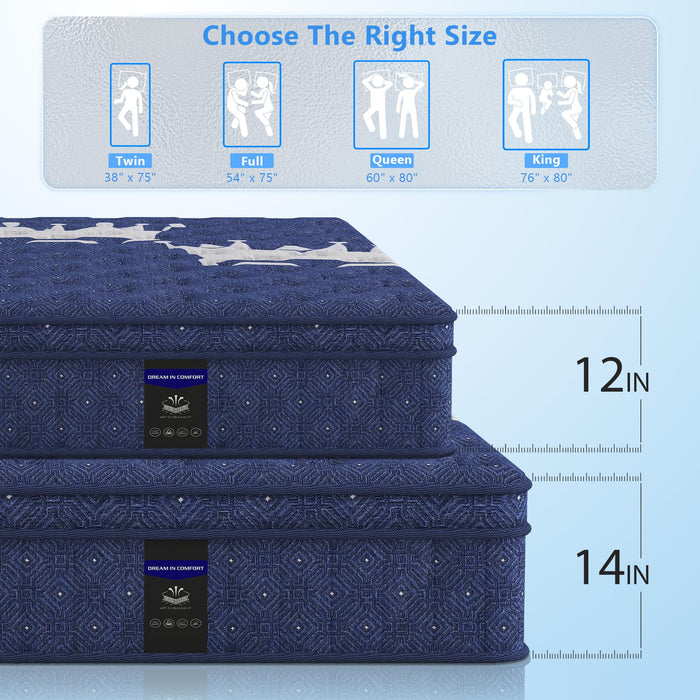 Queen Mattress, Crown Hybrid Mattress in a box, Medium Firm Mattress(12 in）