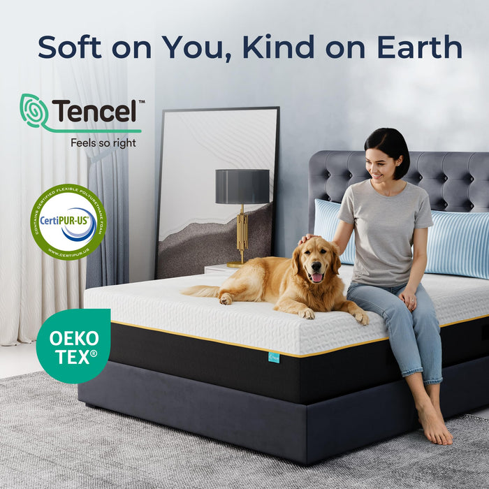 NAPSIE 14 Inch Queen Memory Foam Mattress in a Box, Cooling Gel Infused